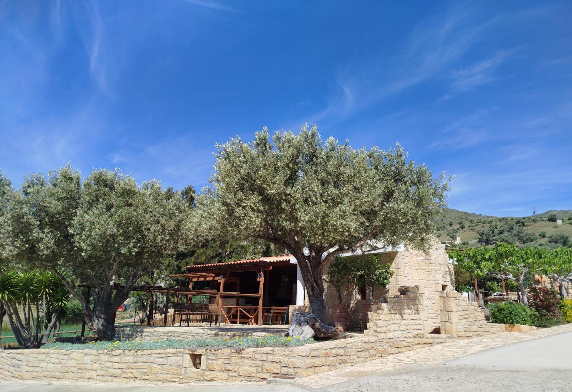 Alexena Apartments Agia Galini Esterno foto